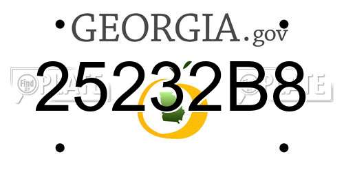 25232B8 Georgia License Plate