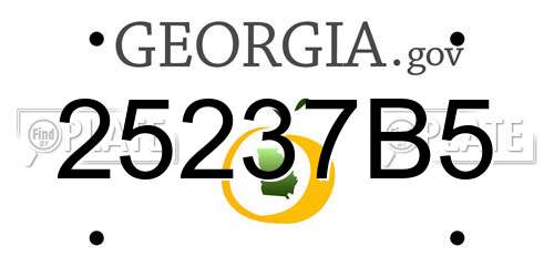 25237B5 Georgia License Plate