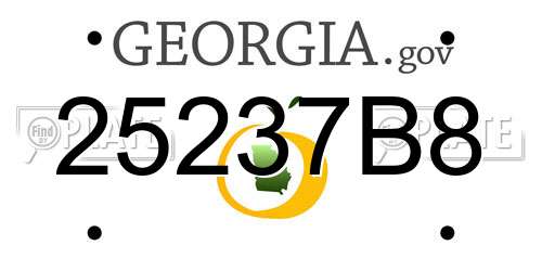 25237B8 Georgia License Plate