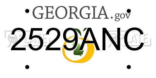 2529ANC Georgia License Plate