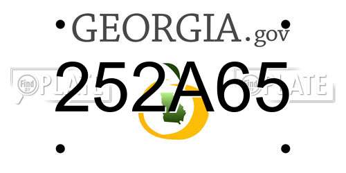 252A65 Georgia License Plate
