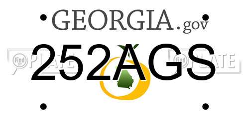 252AGS Georgia License Plate