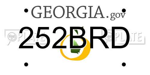 252BRD Georgia License Plate