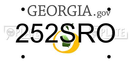 252SRO Georgia License Plate