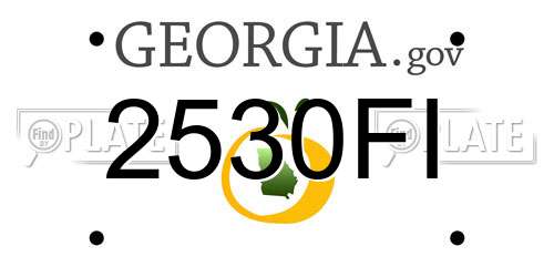 2530FI Georgia License Plate