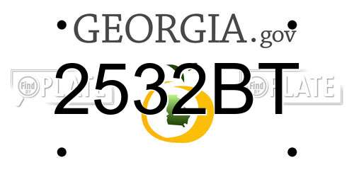 2532BT Georgia License Plate