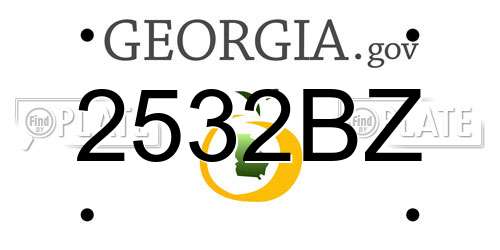 2532BZ Georgia License Plate