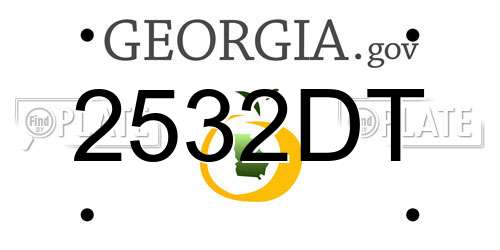 2532DT Georgia License Plate