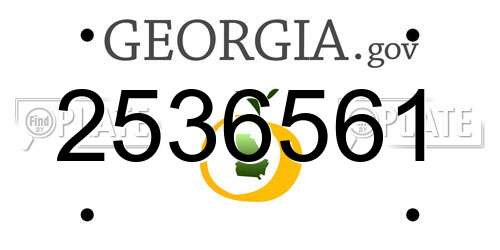2536561 Georgia License Plate