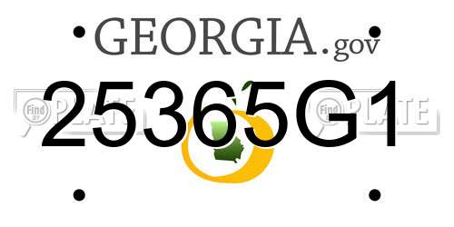 25365G1 Georgia License Plate
