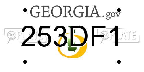 253DF1 Georgia License Plate