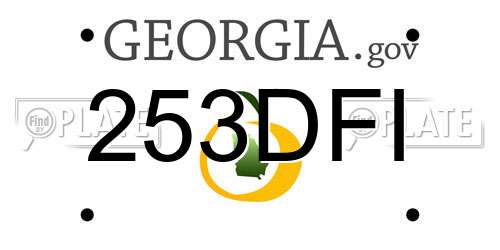 253DFI Georgia License Plate