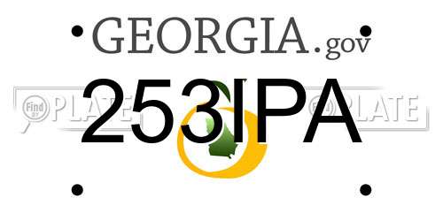 253IPA Georgia License Plate