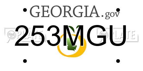 253MGU Georgia License Plate