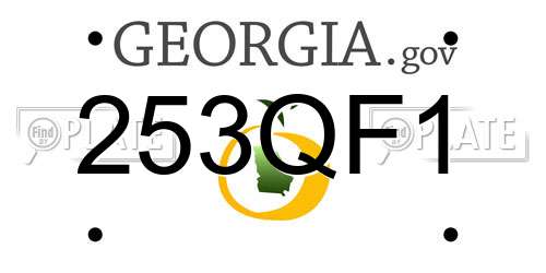253QF1 Georgia License Plate