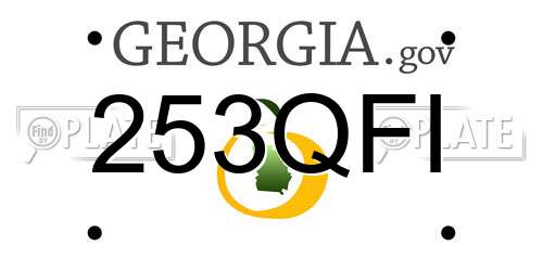 253QFI Georgia License Plate