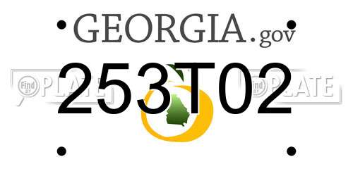 253T02 Georgia License Plate