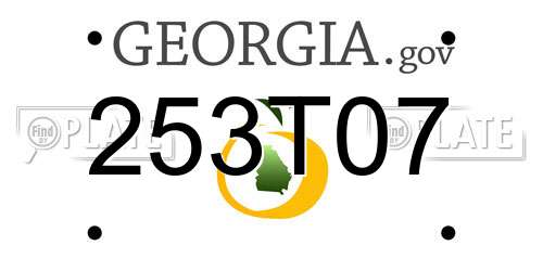 253T07 Georgia License Plate
