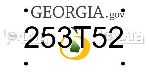 253T52 Georgia License Plate