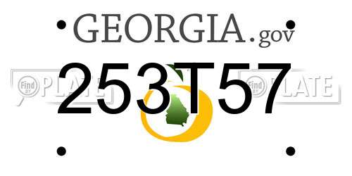 253T57 Georgia License Plate