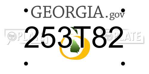 253T82 Georgia License Plate