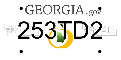 253TD2 Georgia License Plate