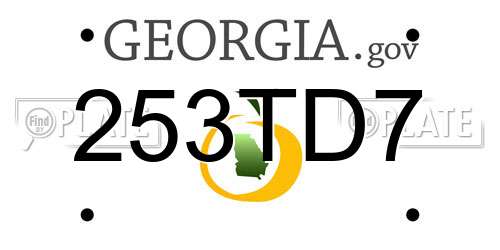 253TD7 Georgia License Plate
