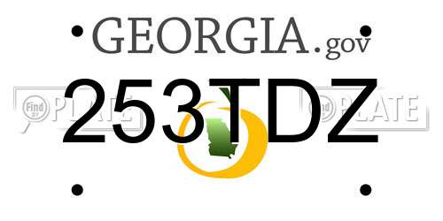 253TDZ Georgia License Plate
