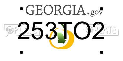 253TO2 Georgia License Plate