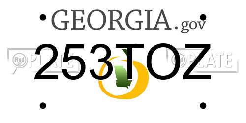 253TOZ Georgia License Plate
