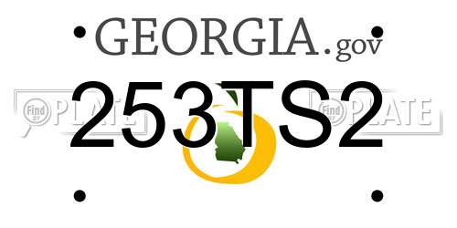 253TS2 Georgia License Plate