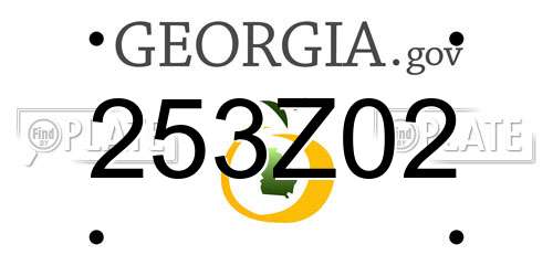 253Z02 Georgia License Plate