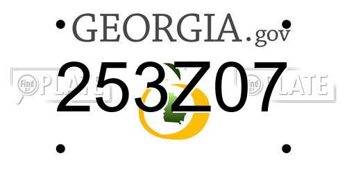 253Z07 Georgia License Plate