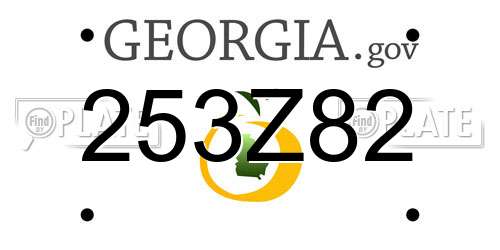 253Z82 Georgia License Plate
