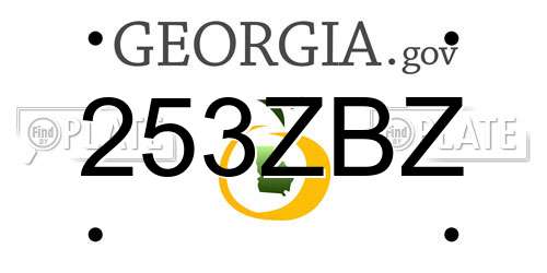 253ZBZ Georgia License Plate