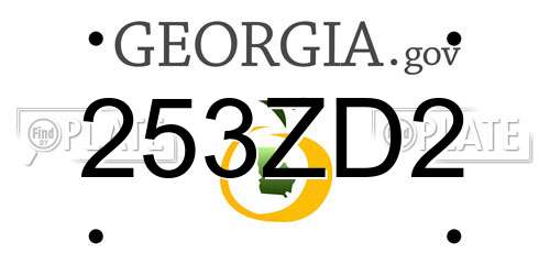 253ZD2 Georgia License Plate