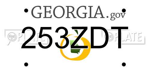 253ZDT Georgia License Plate