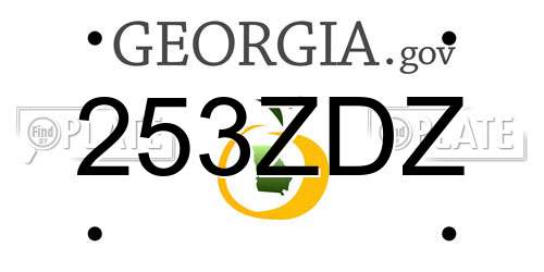 253ZDZ Georgia License Plate