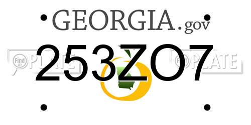 253ZO7 Georgia License Plate