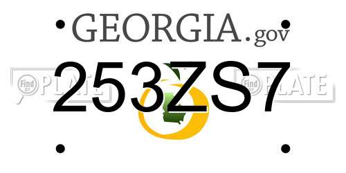 253ZS7 Georgia License Plate
