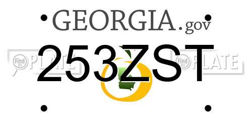 253ZST Georgia License Plate