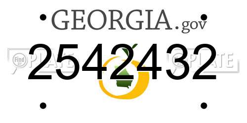 2542432 Georgia License Plate