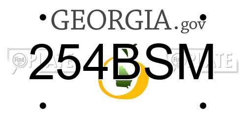 254BSM Georgia License Plate