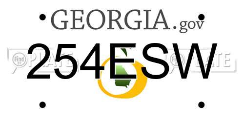 254ESW Georgia License Plate
