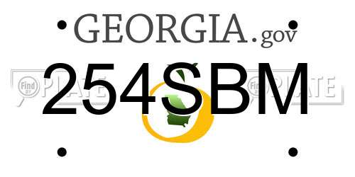 254SBM Georgia License Plate
