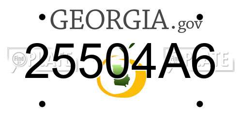 25504A6 Georgia License Plate