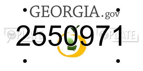 2550971 Georgia License Plate