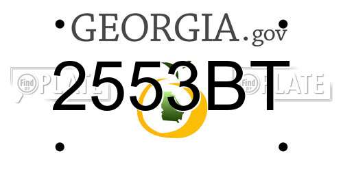 2553BT Georgia License Plate