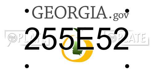 255E52 Georgia License Plate