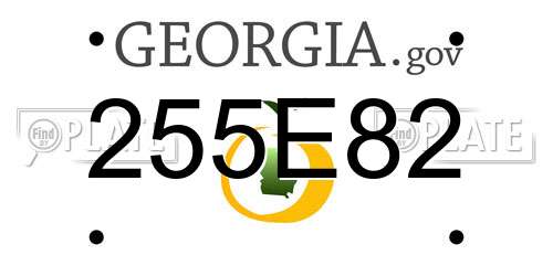 255E82 Georgia License Plate